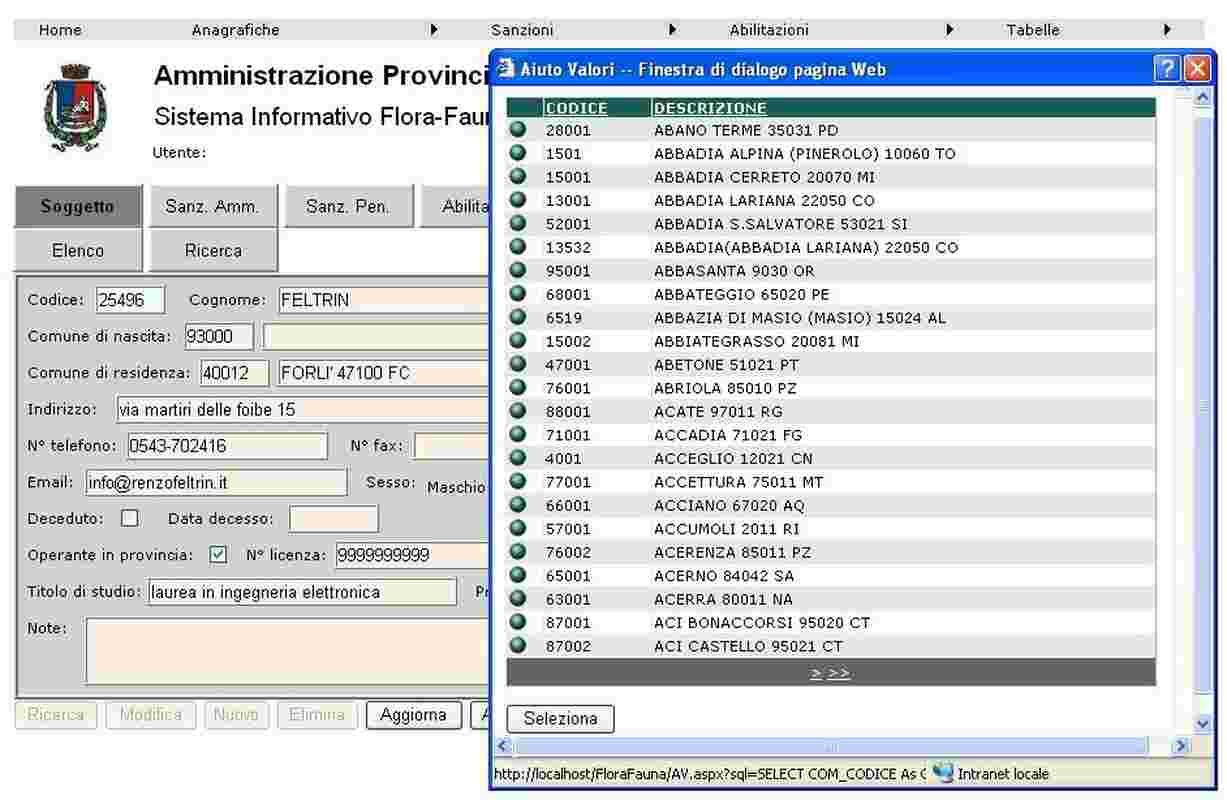 Esempio sviluppo software personalizzato